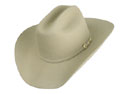 Stetson Sierra Western Cowboy Hat