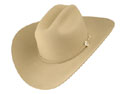 Stetson Sentry Western Cowboy Hat