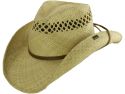 Stetson Bridger Straw Hat