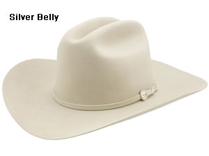 Stetson Sentry Western Cowboy Hat